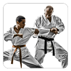 Karate Guide icône