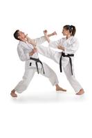 Karate Guide Affiche