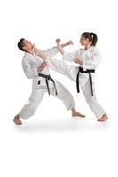 Karate Guide Plakat