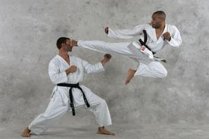 برنامه‌نما Karate Guide عکس از صفحه