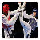 Taekwondo Guide APK