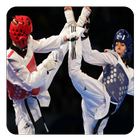 Taekwondo Guide icône