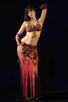 Belly Dance Guide Affiche