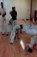 Capoeira Guide capture d'écran 1