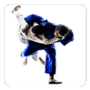 Jiu Jitsu Guide APK