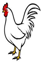 Rooster Sounds スクリーンショット 1