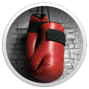 Boxing Basics APK