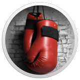 Icona Boxing