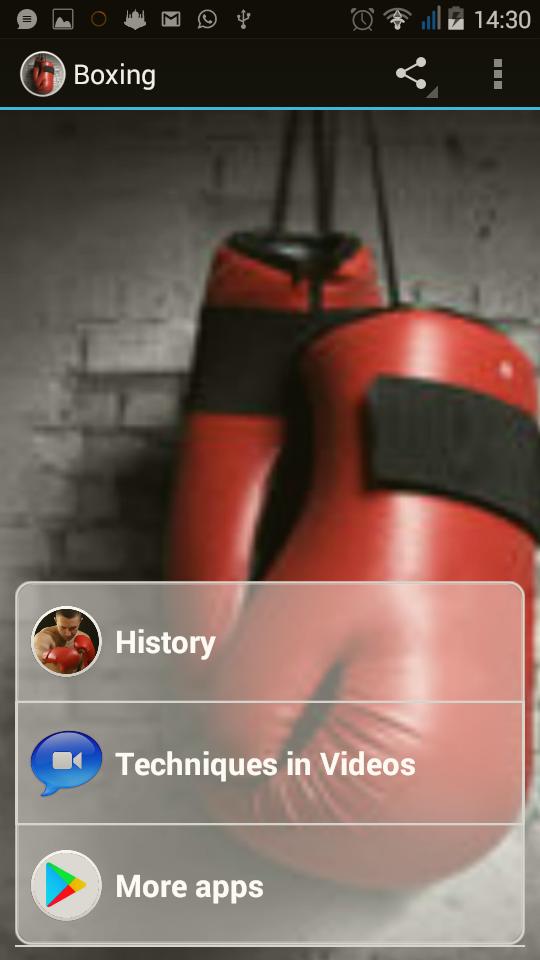 Android приложение box. Андроид бокс скрытой установки. Баси бокс приложение. Ибис бокс приложение. Т-бокс андроид карплей.