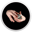 Easy Card Tricks
