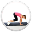 Foam Roller Guide