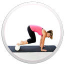 Foam Roller Guide APK