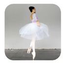 Ballet Dance Lessons APK