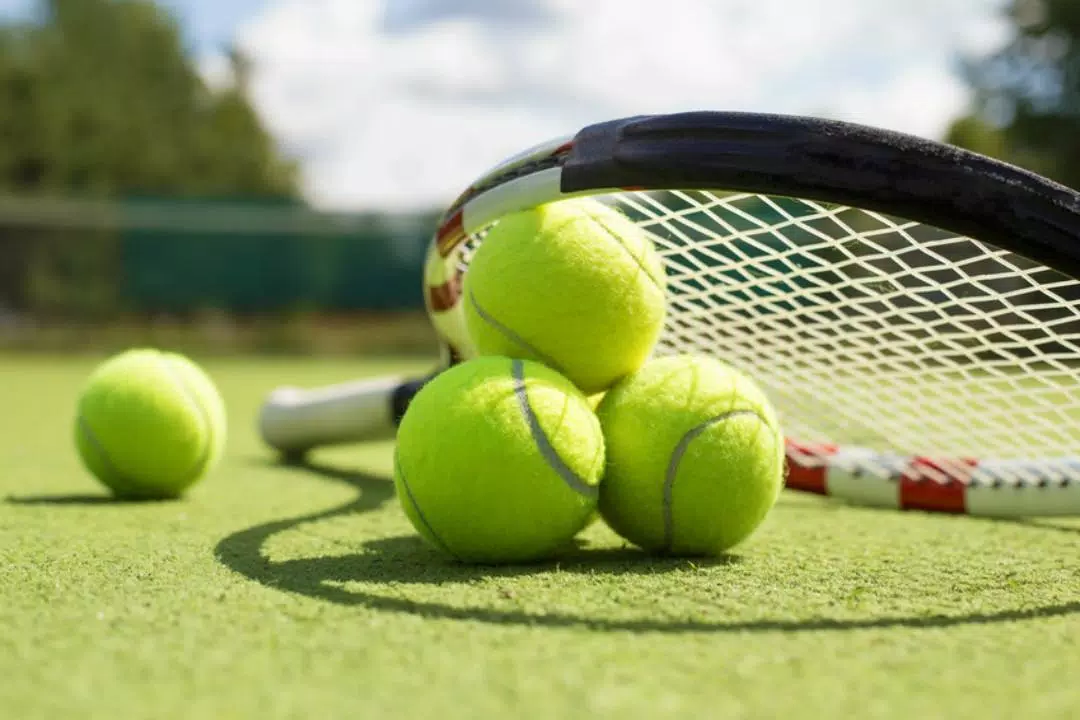 Tennis Lessons APK pour Android Télécharger