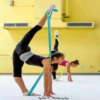 Gymnastics Training poster