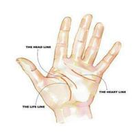 Palm reading  (Guide) الملصق