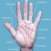 Palm reading  (Guide) capture d'écran 1