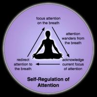 How to Meditate Screenshot 1