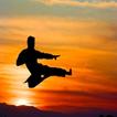 Karate  (Guide)