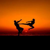 Karate plakat