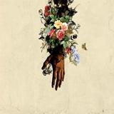 Graphic Design Art Zeichen