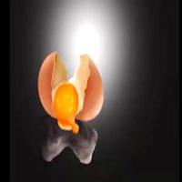 Learn Photoshop imagem de tela 1