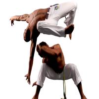 Capoeira screenshot 1