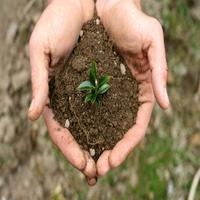 Plant Health Poster