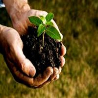 Plant Health captura de pantalla 1