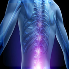 Lower Back ícone