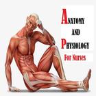 Anatomy and physiology ไอคอน