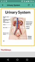 Anatomy and physiology screenshot 2