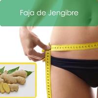 Faja de Jengibre 海报