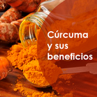 Curcuma salud y enfermedades icône