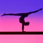 Gymnastics training icono