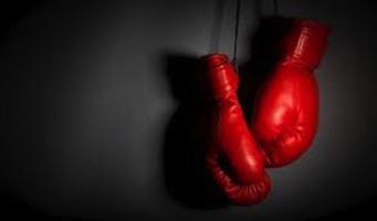 Boxing lessons imagem de tela 1