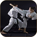 Karate lessons