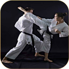 Karate lessons biểu tượng