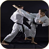 Karate lessons simgesi