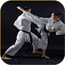 Karate lessons aplikacja