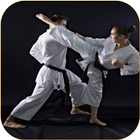Karate lessons icon
