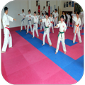 Karate techniques