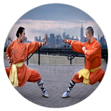 Shaolin kung fu أيقونة