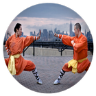 Shaolin kung fu icon