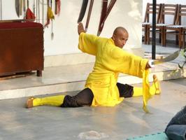 Shaolin kung fu ポスター