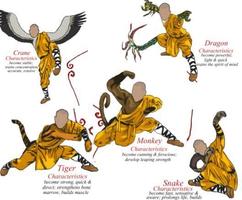 Shaolin kung fu スクリーンショット 1