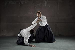 les leçons de l'aikido capture d'écran 1