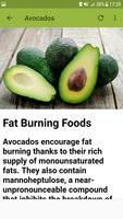 Fat Burning Foods Screenshot 1