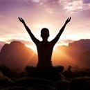 Yoga Poses For Beginners 2018 APK