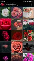 Rose Wallpaper Cartaz